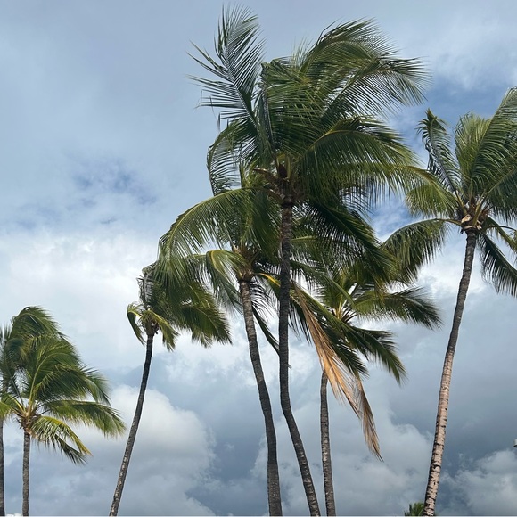 Meet your Posher, Laura - Picture 6 of 9